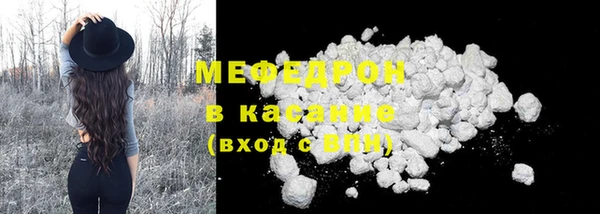 хмурый Аркадак
