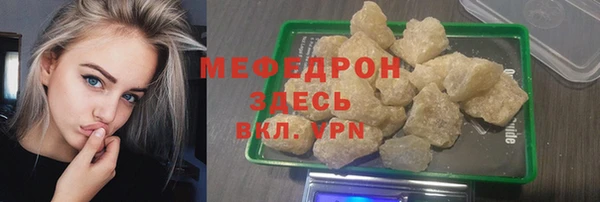 хмурый Аркадак