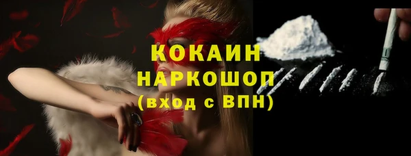 хмурый Аркадак