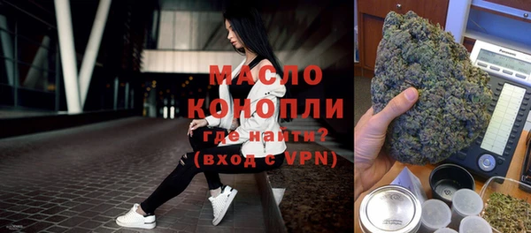 хмурый Аркадак