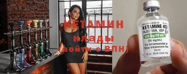 хмурый Аркадак