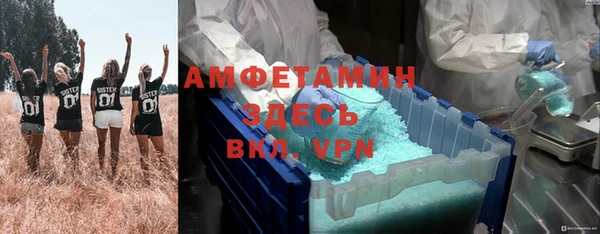 хмурый Аркадак