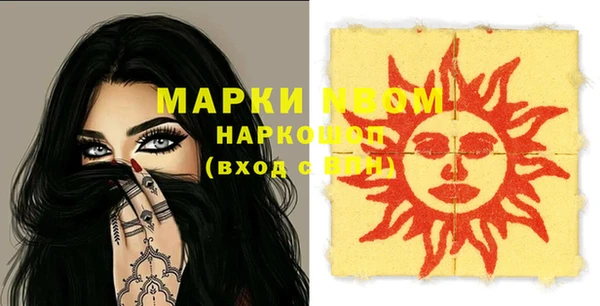 хмурый Аркадак