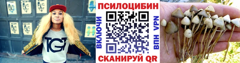 купить наркоту  Усть-Илимск  Псилоцибиновые грибы MAGIC MUSHROOMS 